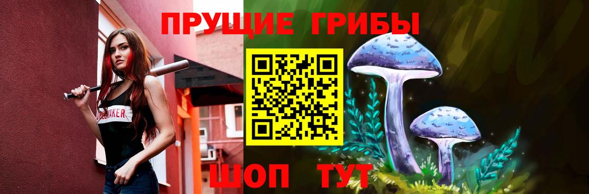 Псилоцибиновые грибы Psilocybine cubensis  Псилоцибиновые грибы GOLDEN TEACHER  Пугачёв  Вход с VPN 
