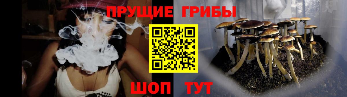 Псилоцибиновые грибы Magic Shrooms Пугачёв